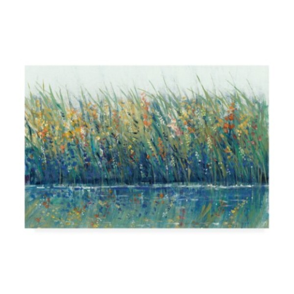 Trademark Fine Art Tim Otoole 'Wildflower Reflection I' Canvas Art, 22x32 WAG11274-C2232GG